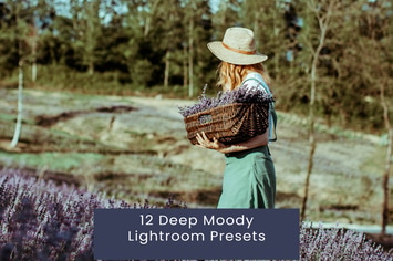 12 Deep Moody Lightroom Presets