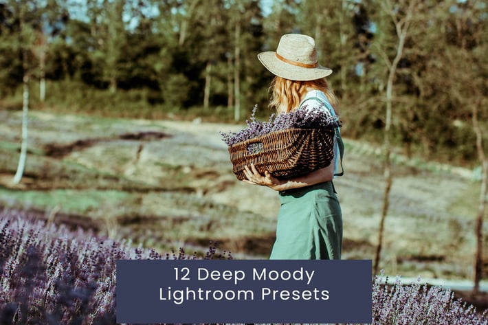 12 Deep Moody Lightroom Presets