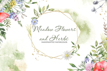 Watercolor Meadow flowers and Herbs