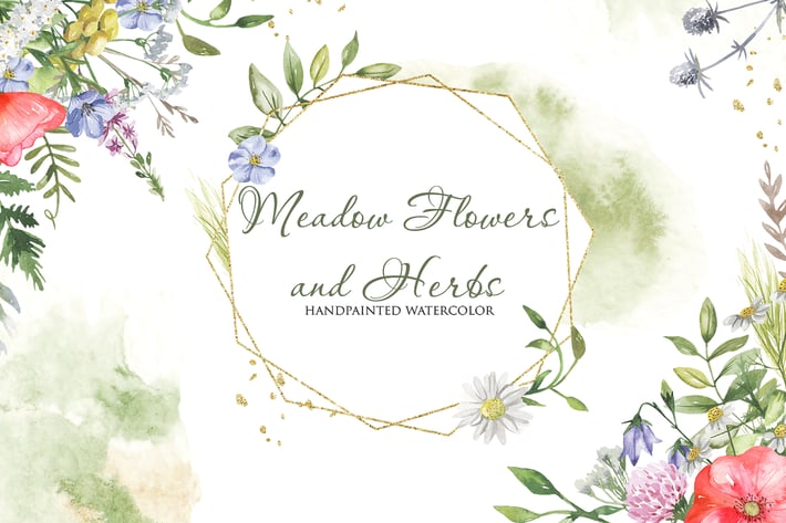 Watercolor Meadow flowers and Herbs