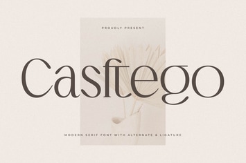 Casftego Modern Serif Font 