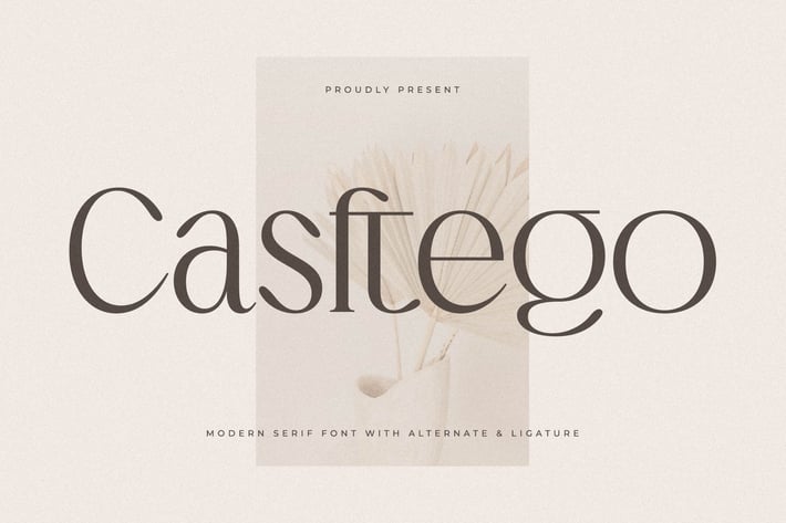 Casftego Modern Serif Font 