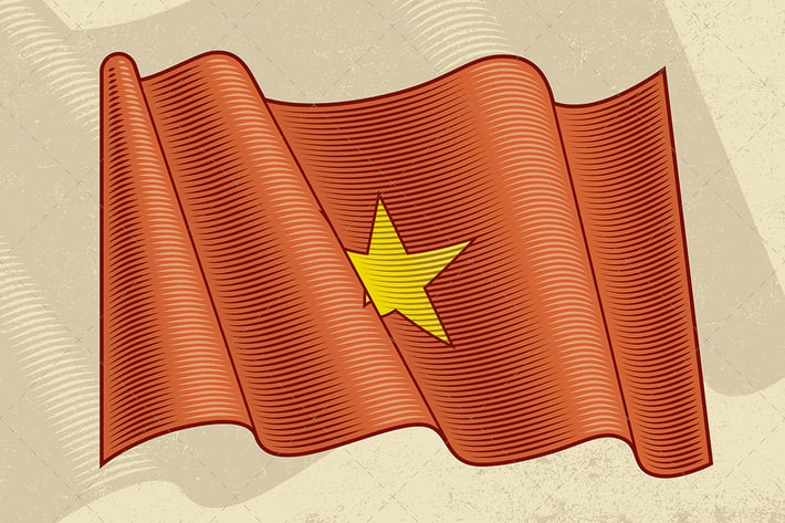 Vintage Flag Of Vietnam