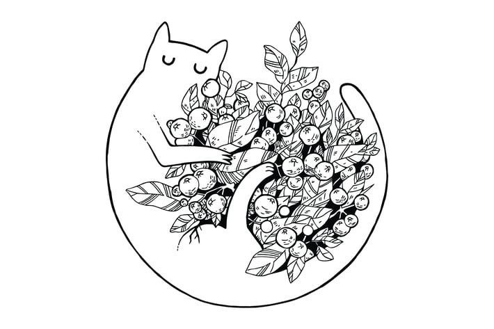 Cat with Flowers Scratchboard Illustration