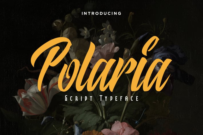Polaria Script Typeface