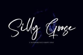 Silly Goose - Signature Font