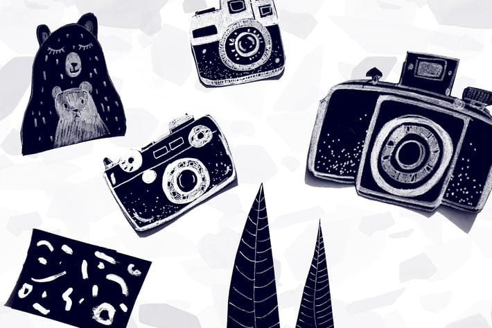 Photo and Woods -  Hand Sketched Elements