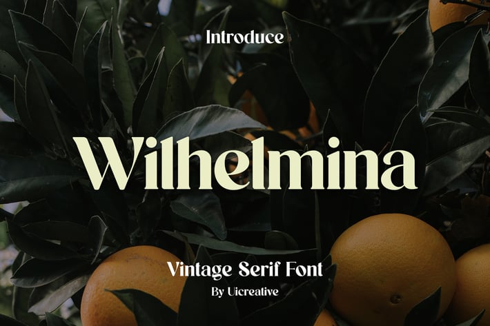 Wilhelmina Vintage Serif Font