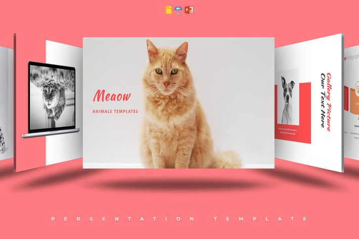 Meaow - Presentation Template