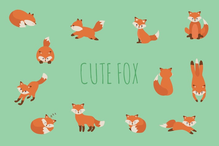 Cute Fox Hand Drawn