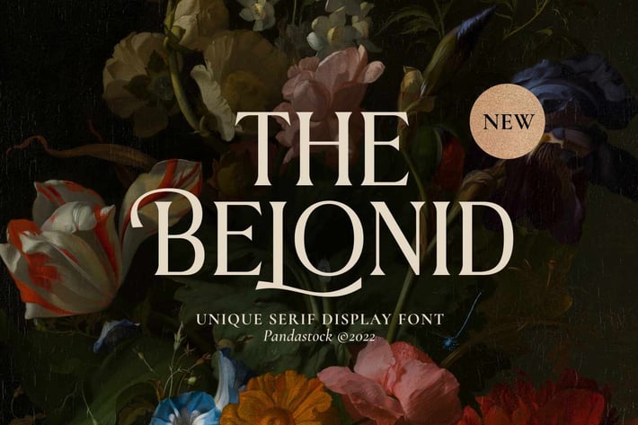 The Belonid - Cool Serif Fonts