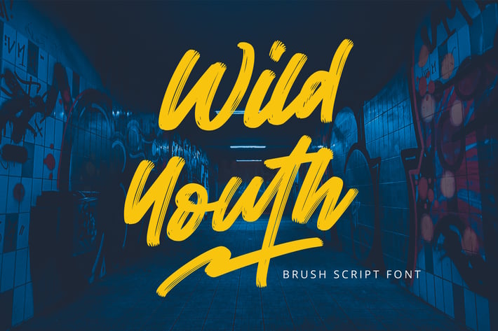 Wild Youth - Brush Font