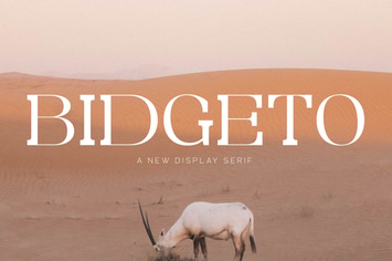 Bidgeto A New Display Serif Font 
