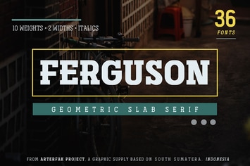 Ferguson Slab Family