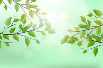 Realistic Vector Tree Branch Background