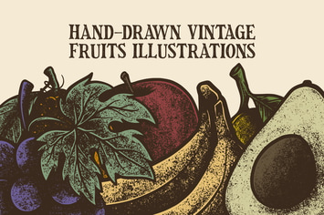 Hand-Drawn Vintage Fruits Illustrations