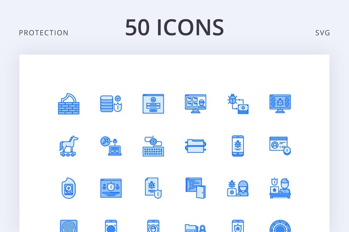 Data Protection 50