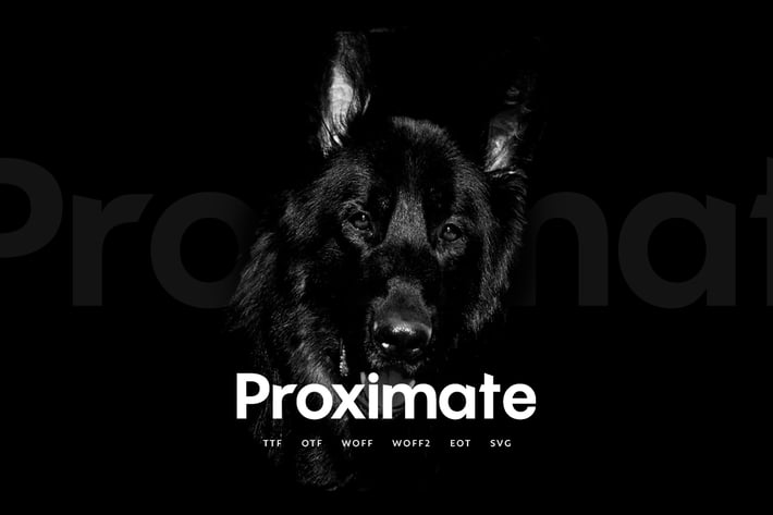 Proximate - Modern Display Typeface + WebFonts