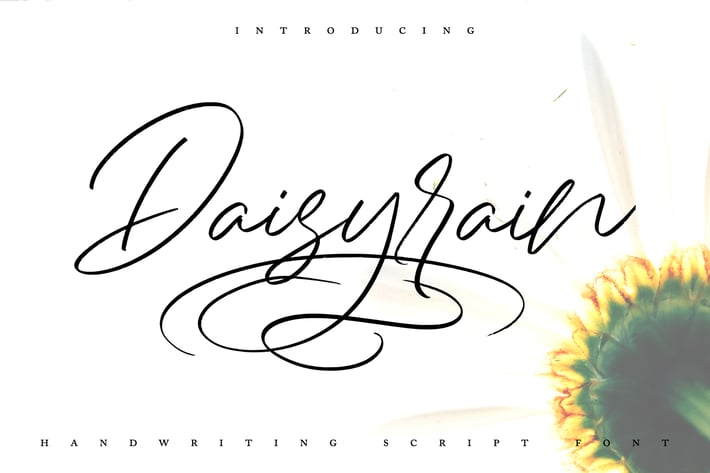 DaisyRain | Handwriting Script Font