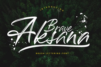 Aksana Brush Business Font