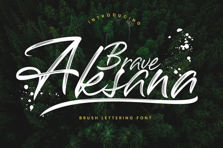 Aksana Brush Business Font