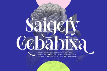 NCL Saigefy Cebahixa - Modern Unique Serif Font
