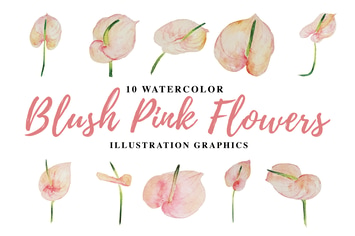 10 Watercolor Blush Pink Flowers Illustration
