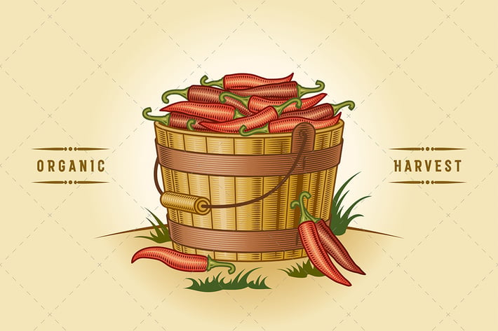 Retro Bucket Of Chili Peppers