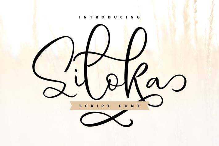 Siloka | Script Font