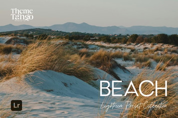 15 Beach Bliss Lightroom Presets