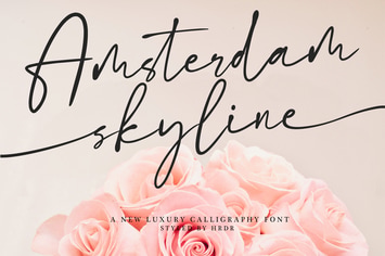 Amsterdam Skyline