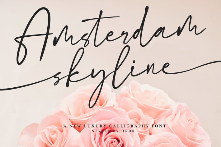 Amsterdam Skyline