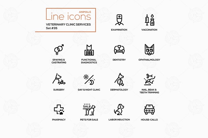 Veterinary clinic services - modern vector icons 