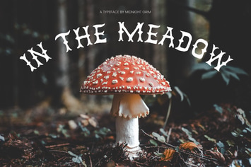 In the Meadow