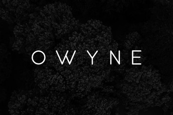 OWYNE - Modern Fashion / Stylish Typeface
