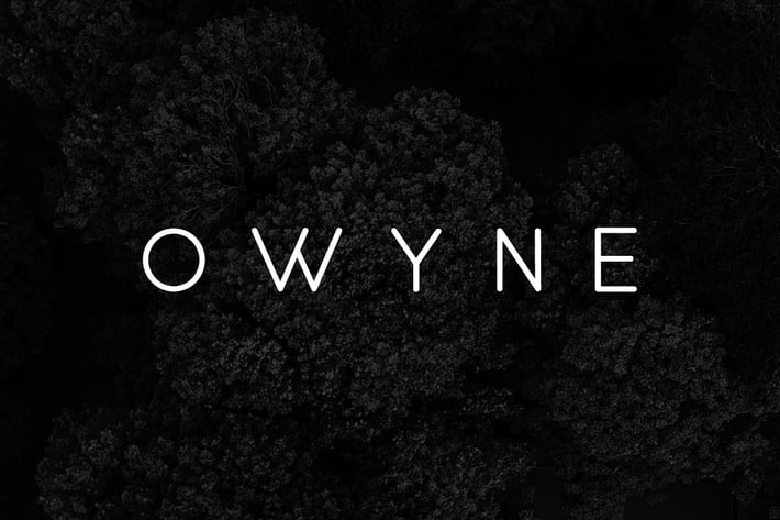 OWYNE - Modern Fashion / Stylish Typeface