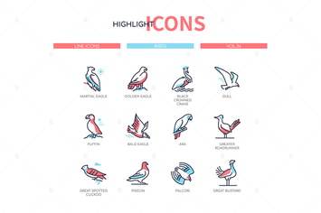 Bird species - modern line design style icons set