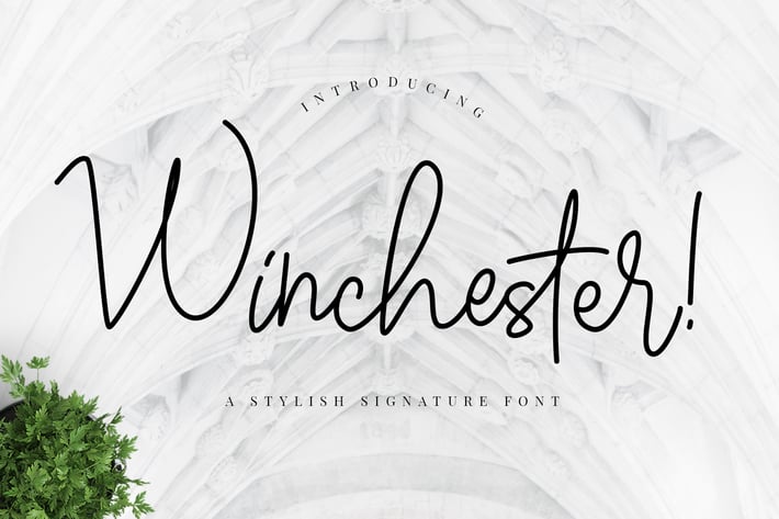 Winchester Signature Business Font