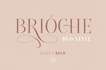 Brioche - Light & Bold