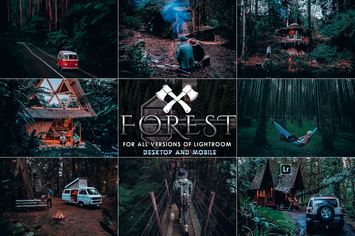 Forest Moody-Travel Presets for Mobile and Desktop