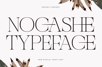 Nocashe New Display Font Serif 