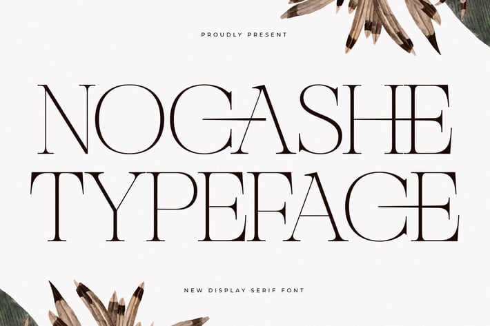 Nocashe New Display Font Serif 
