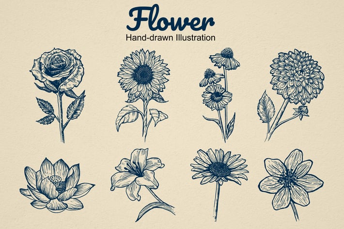 Flower Hand drawn illustration