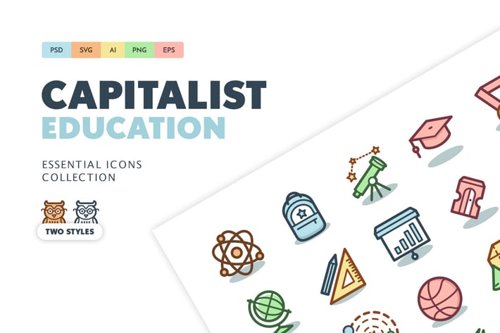 Capitalist Icons: Education