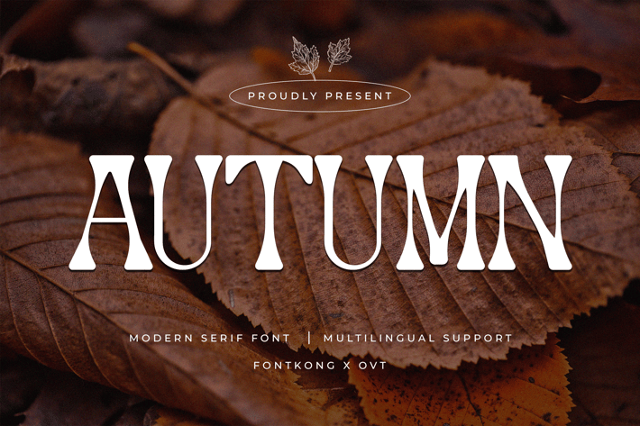 Autumn - Modern Serif Font