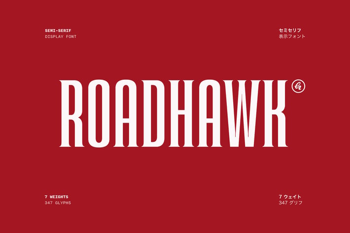 Roadhawk