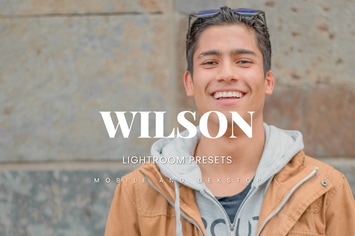 Wilson Lightroom Presets Dekstop and Mobile