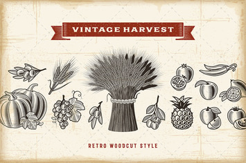 Vintage Harvest Set