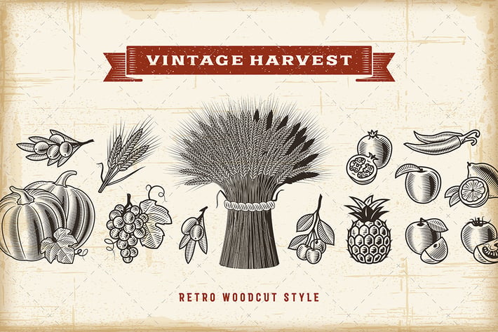 Vintage Harvest Set