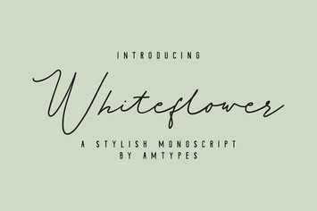 Whiteflower Monoscript